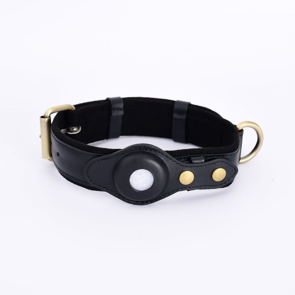 Tracker, GPS Protective Case Pet Dog Anti-Lost Collar.