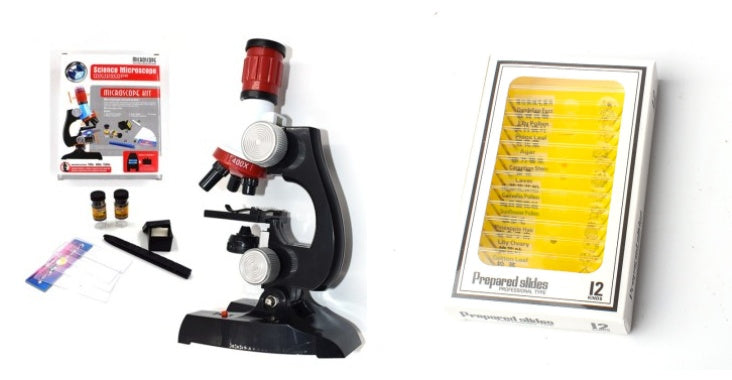 Kids’ Beginner Science Microscope for Fun Discovery Learning