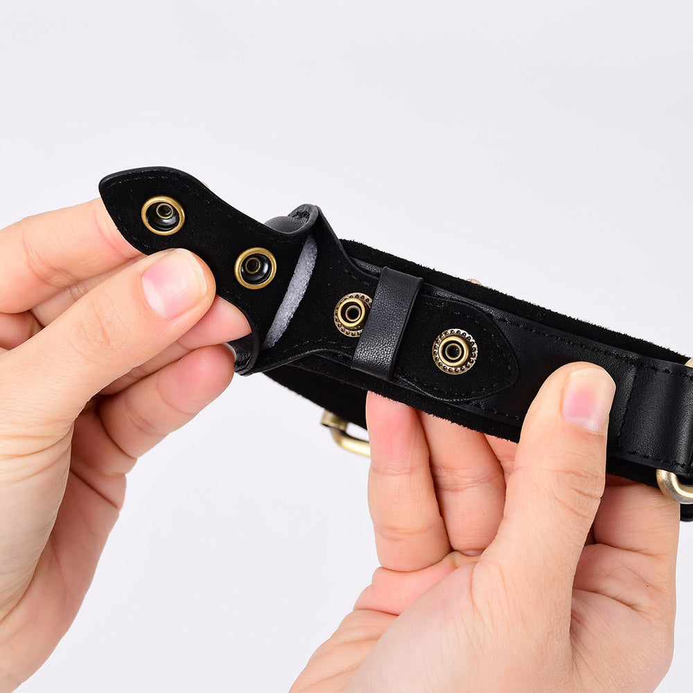 Tracker, GPS Protective Case Pet Dog Anti-Lost Collar.